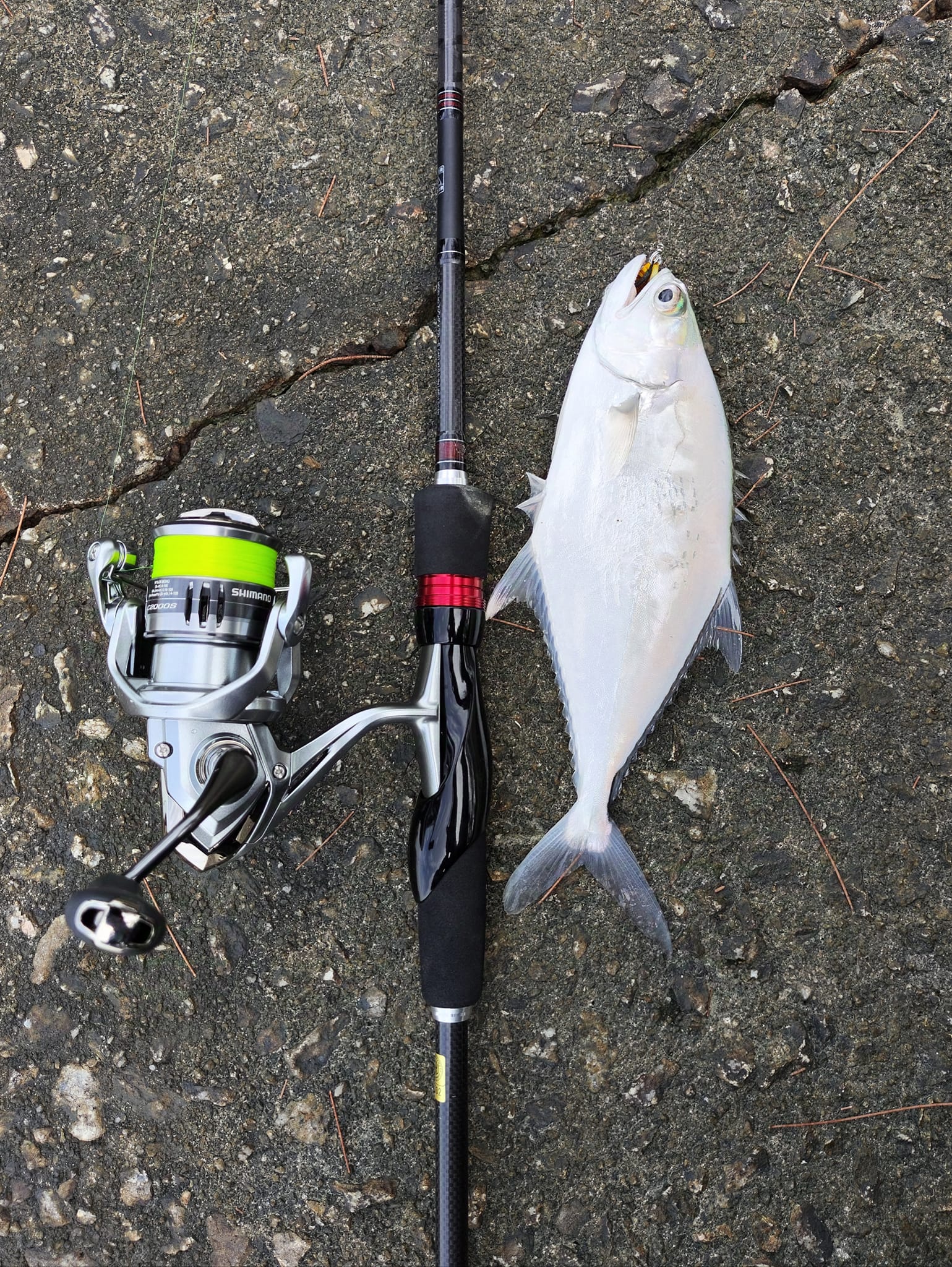 shimano beastmaster feeder rod 9 11 9000B Electric Reel Handle Position:Left-Hand 7:1 letting you know at Maintenance_Reel Grease Fishing Sim World Bass