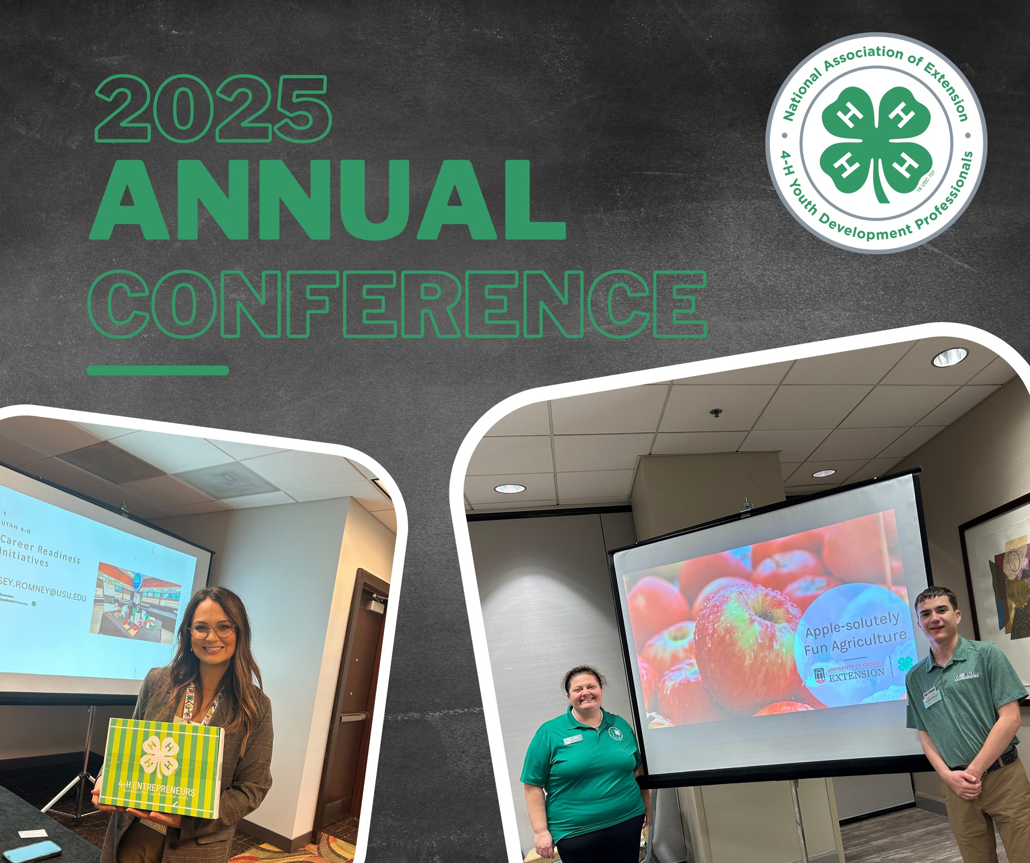 National Association of Extension 4-H Youth Development Professionals ...