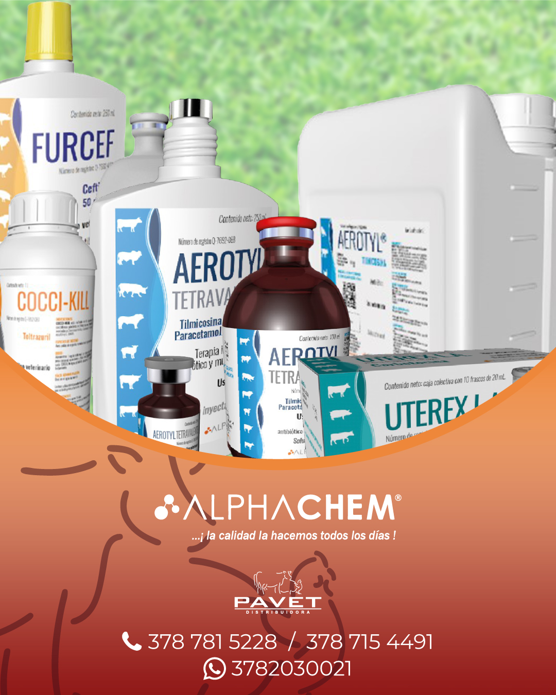 Pavet - ¿Conoces ya la variedad de productos Alpha Chem? 📲...