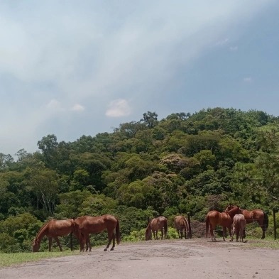 Colina Ranch | São José dos Campos SP