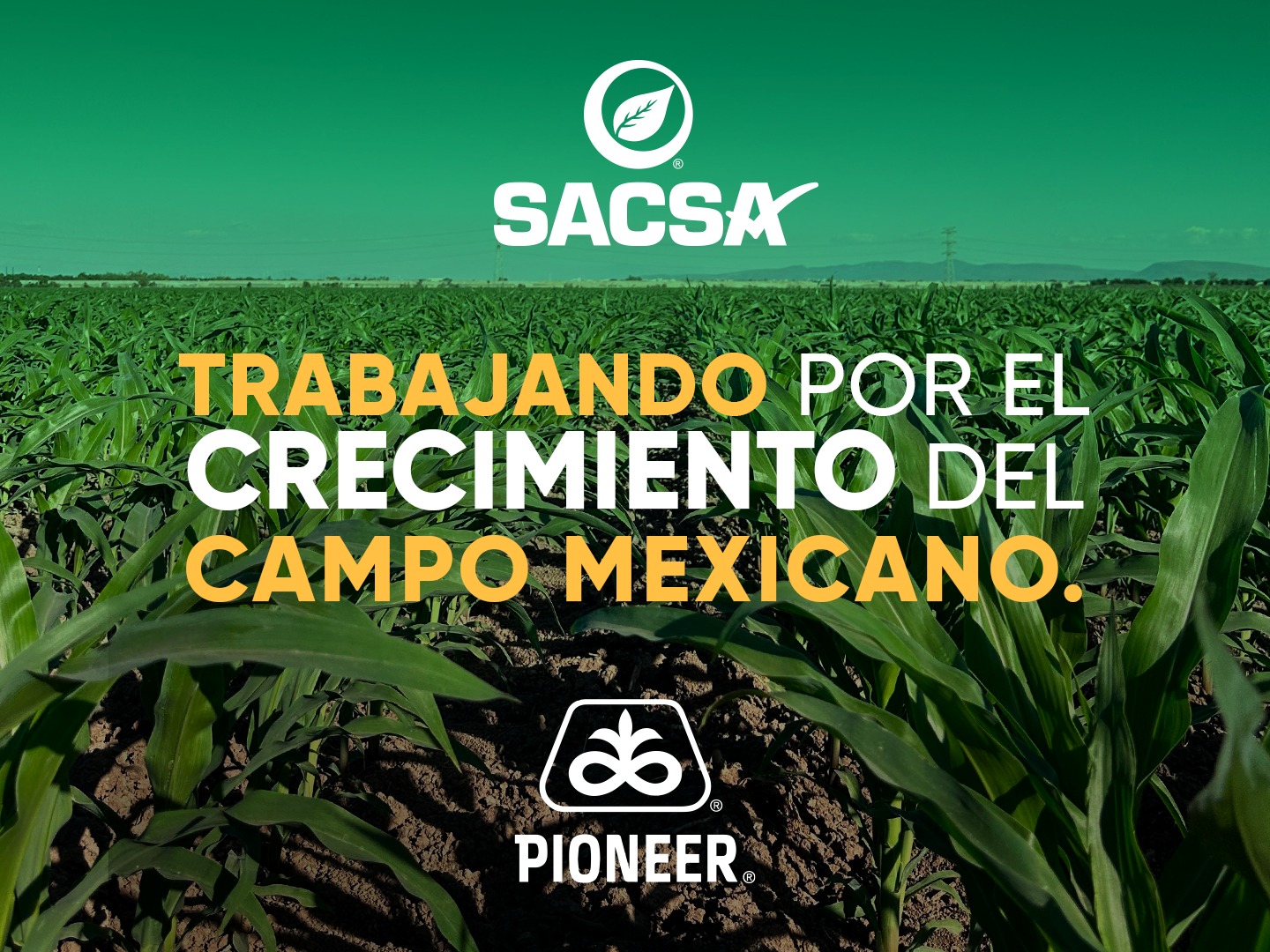 Grupo Sacsa - 🤝🤠Nuestro compromiso es contigo y la...