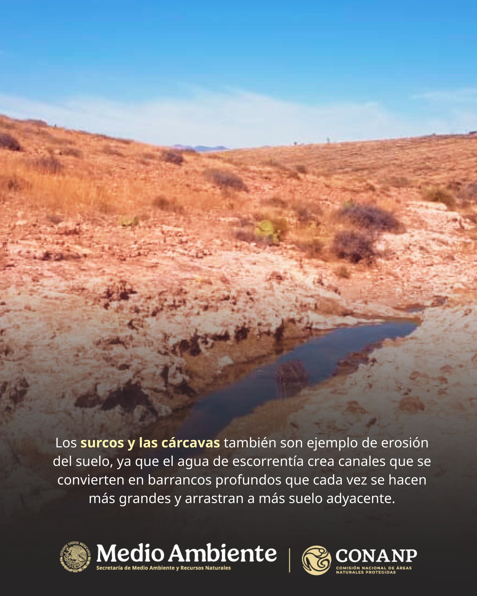 Jardín Botánico El Izotal UASLP