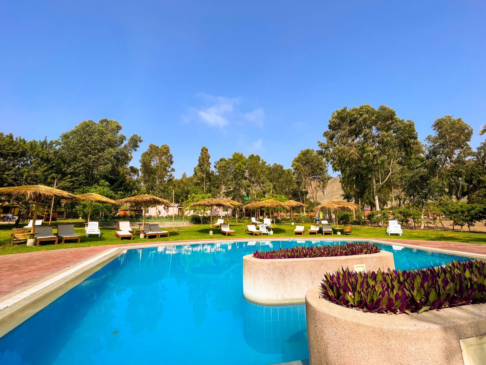 FINCA HOTEL Las Araucarias... - FINCA HOTEL Las Araucarias