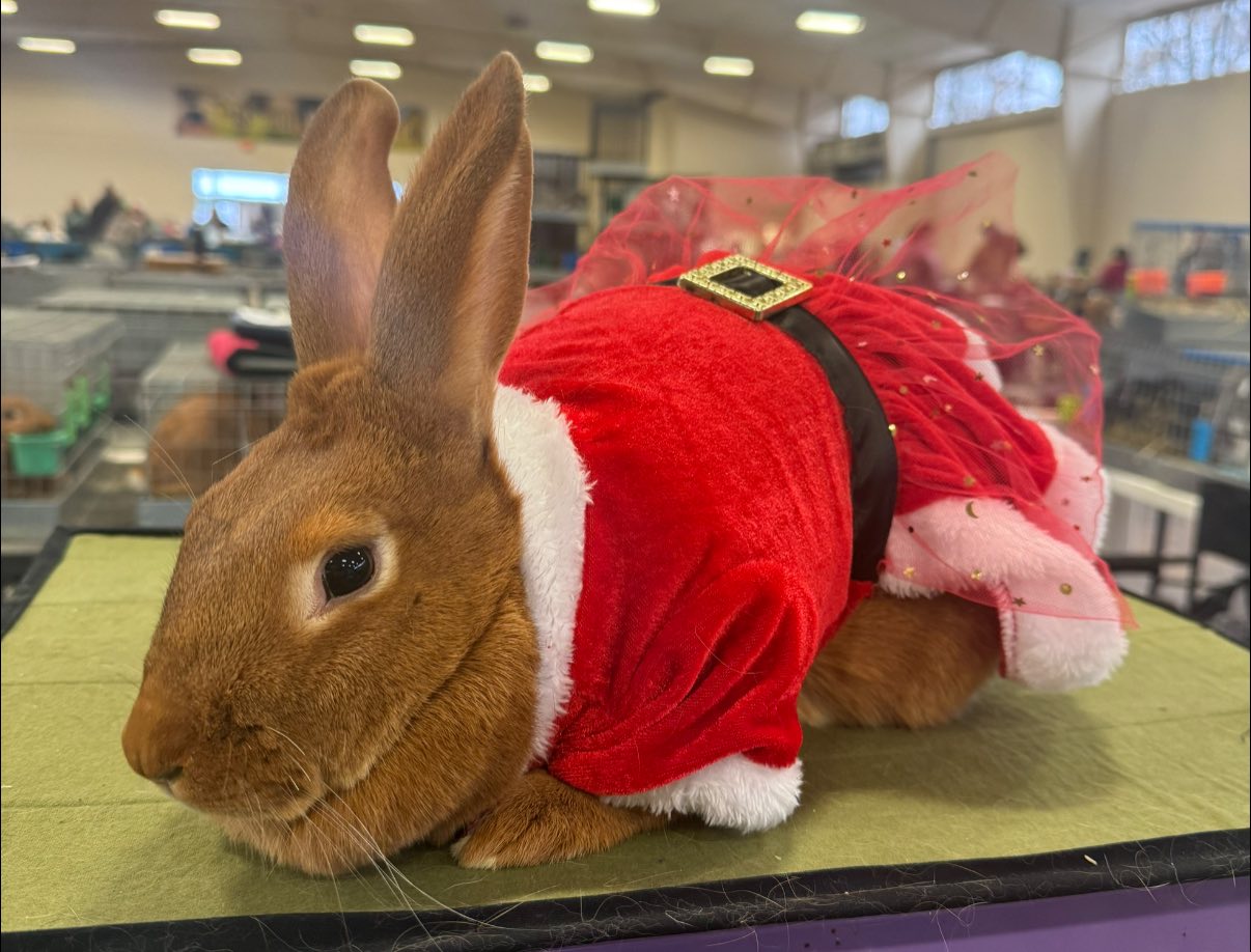 AW Ranch & Rabbitry | Wentzville MO