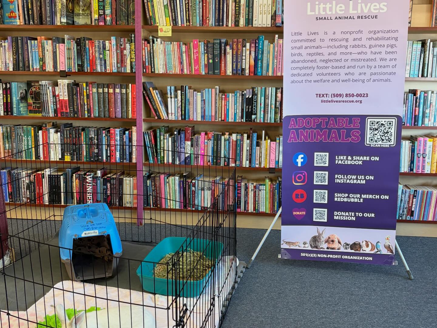 Little Lives Small... - Little Lives Small Animal Rescue
