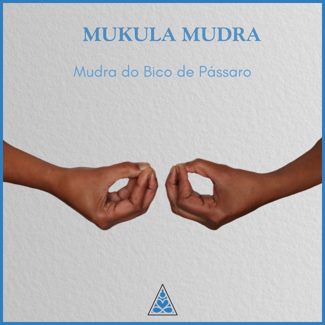 🌟 MUKULA MUDRA: O 