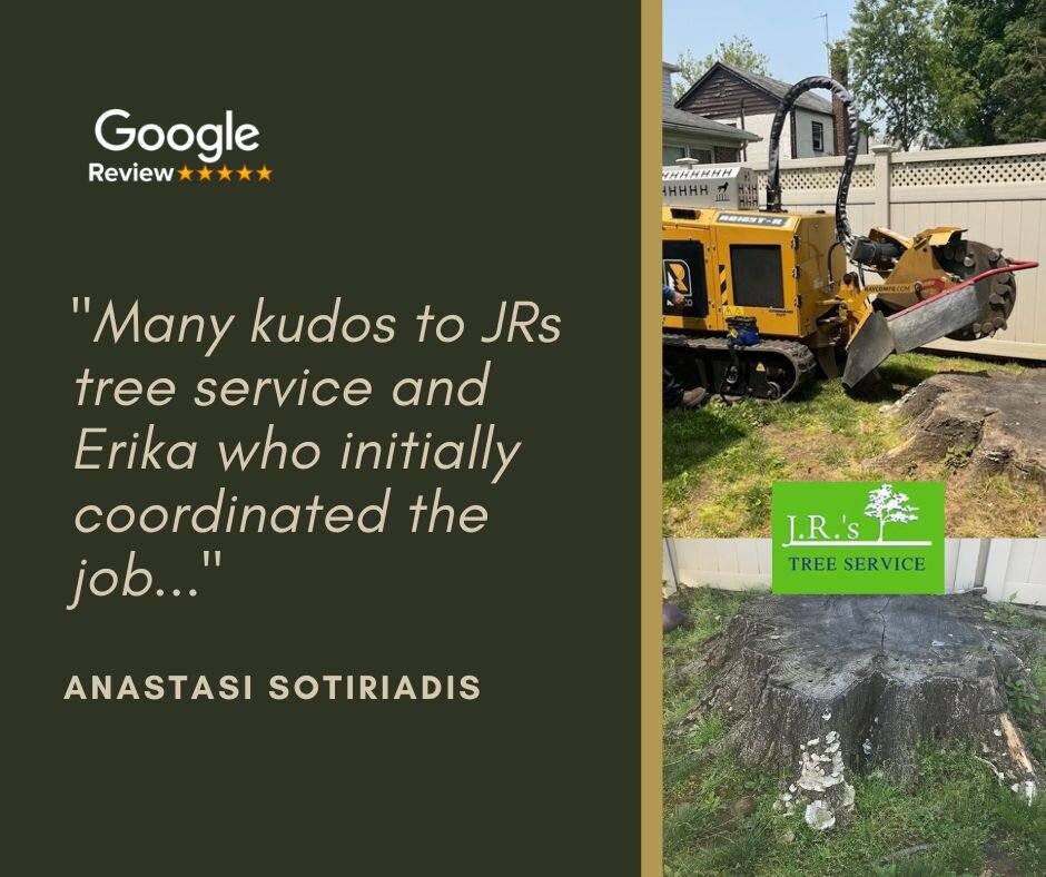 JRs Tree Service | Queens NY