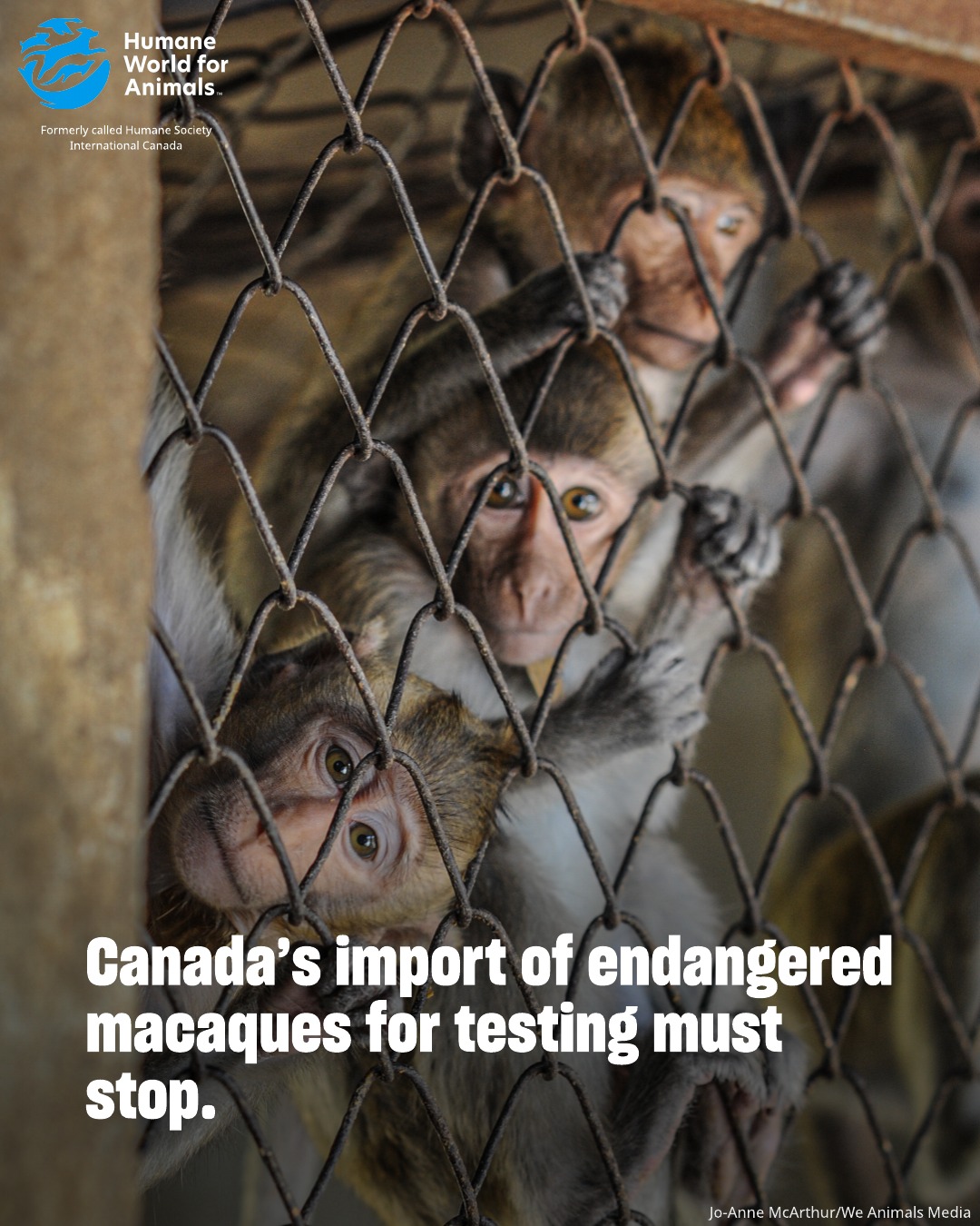 Humane World for Animals Canada | Vaudreuil-Dorion QC