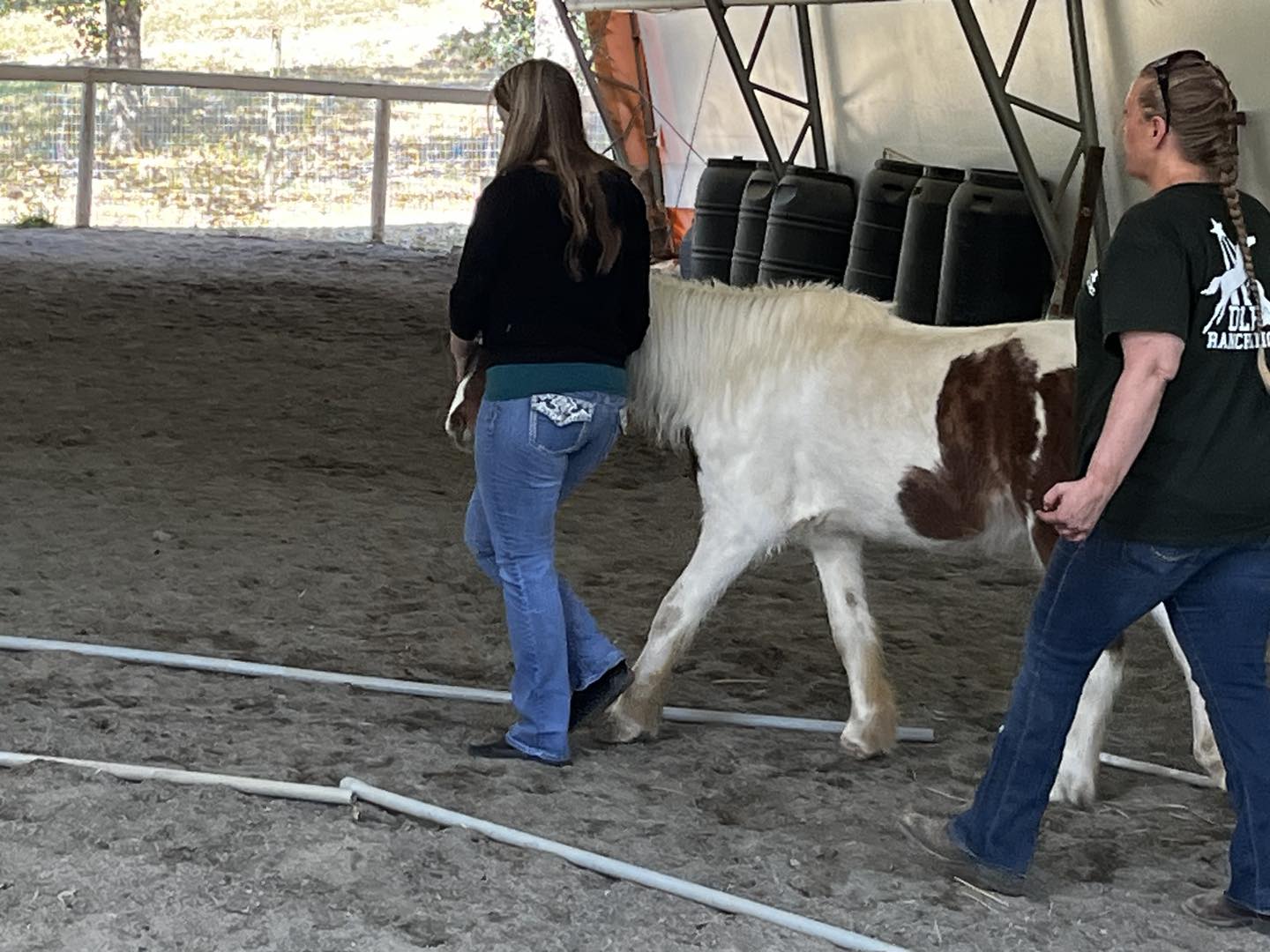 DLB Ranch, Inc | Cottonwood CA