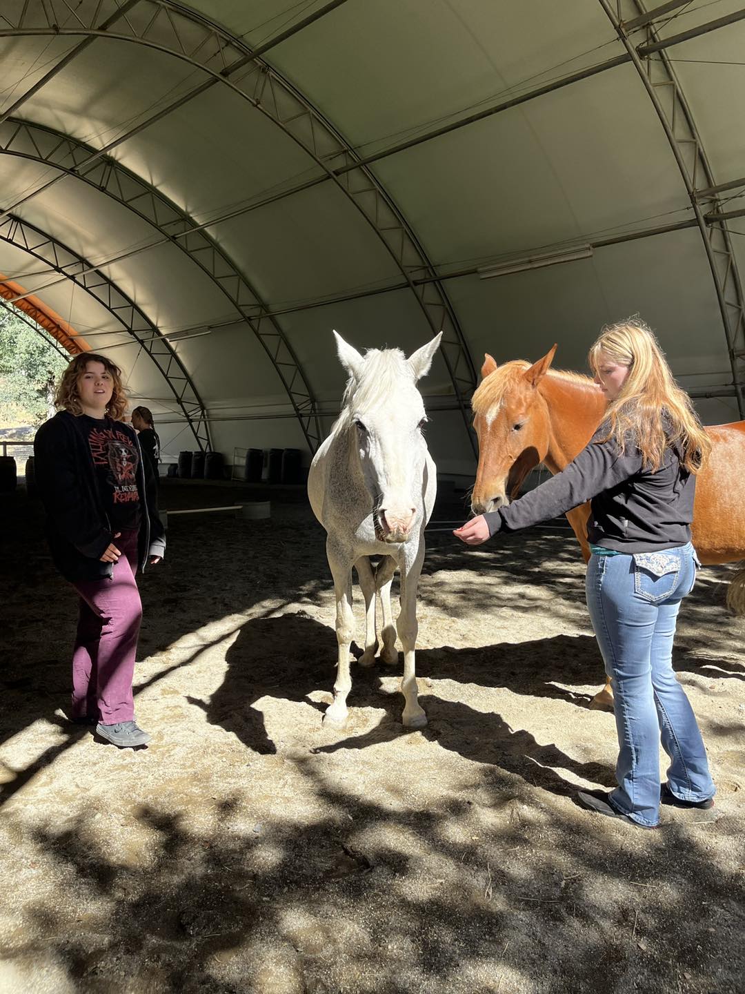 DLB Ranch, Inc | Cottonwood CA