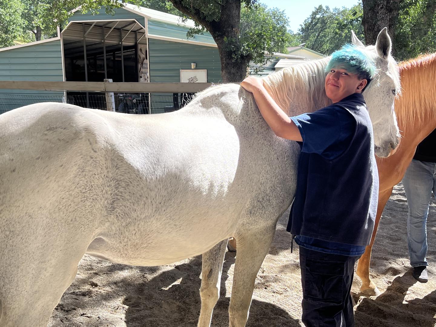 DLB Ranch, Inc | Cottonwood CA