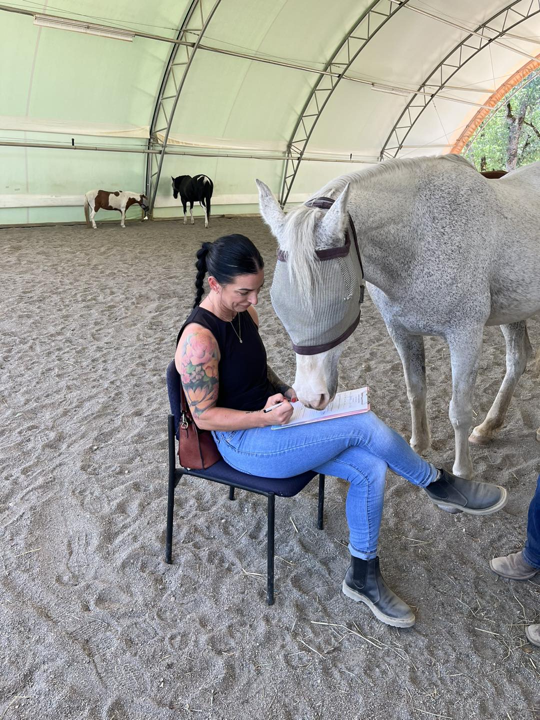 DLB Ranch, Inc | Cottonwood CA