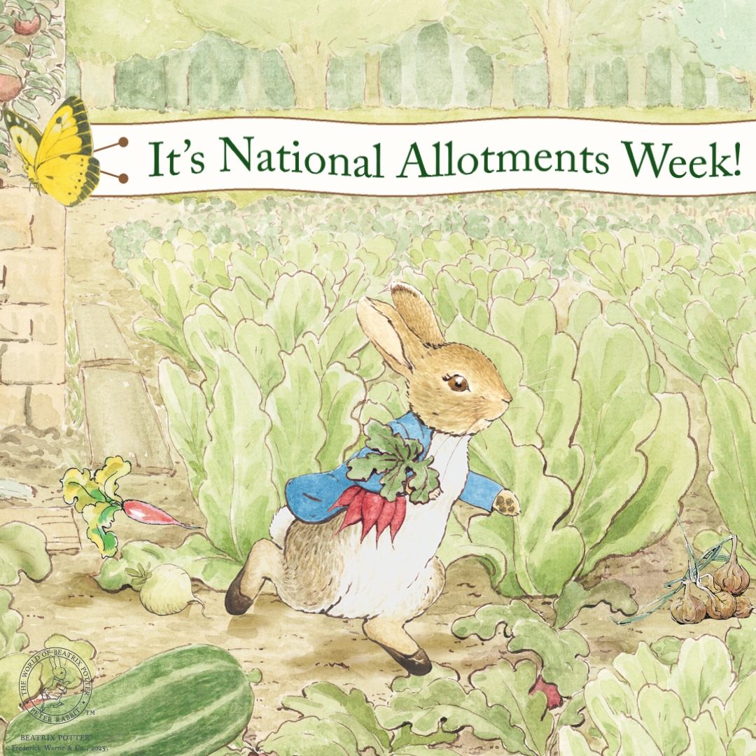 Peter Rabbit enjoyed eating lettuces, French beans, and radishes
