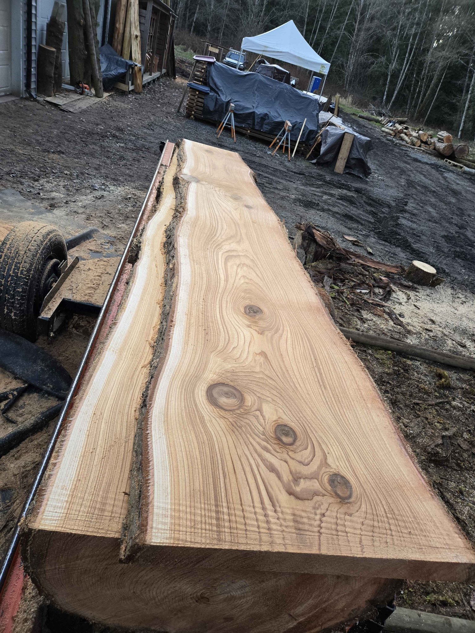 Live Edge Wood Slabs - Dining Tables, Benches, Signs, Shelves, Custom ...