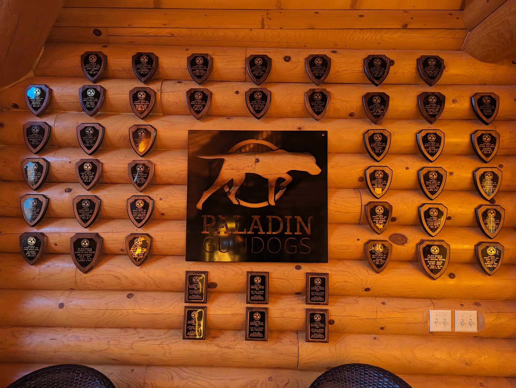 Paladin Gundogs | Fairmont MN