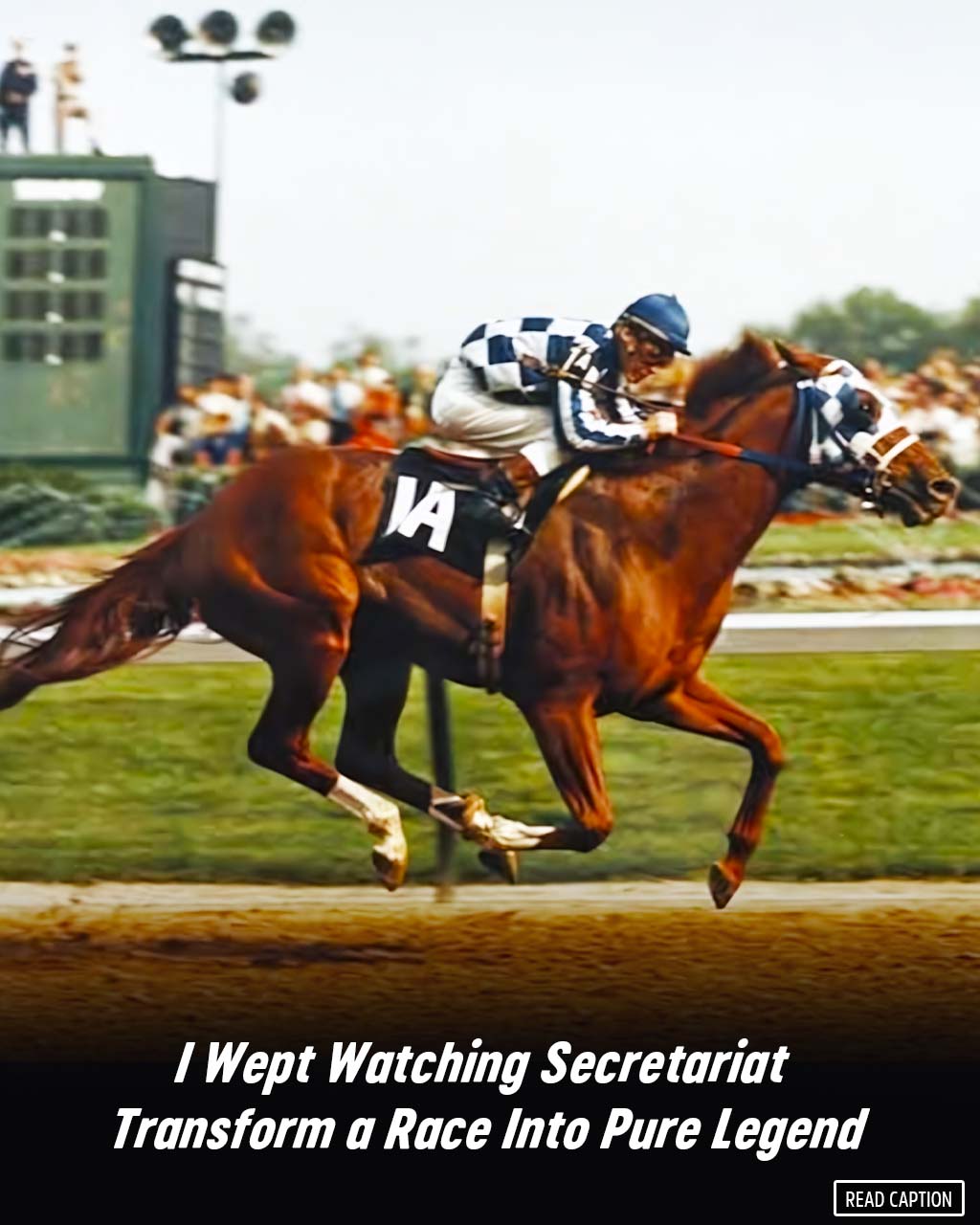 Wild - I watched in awe as Secretariat surged forward, each stride ...