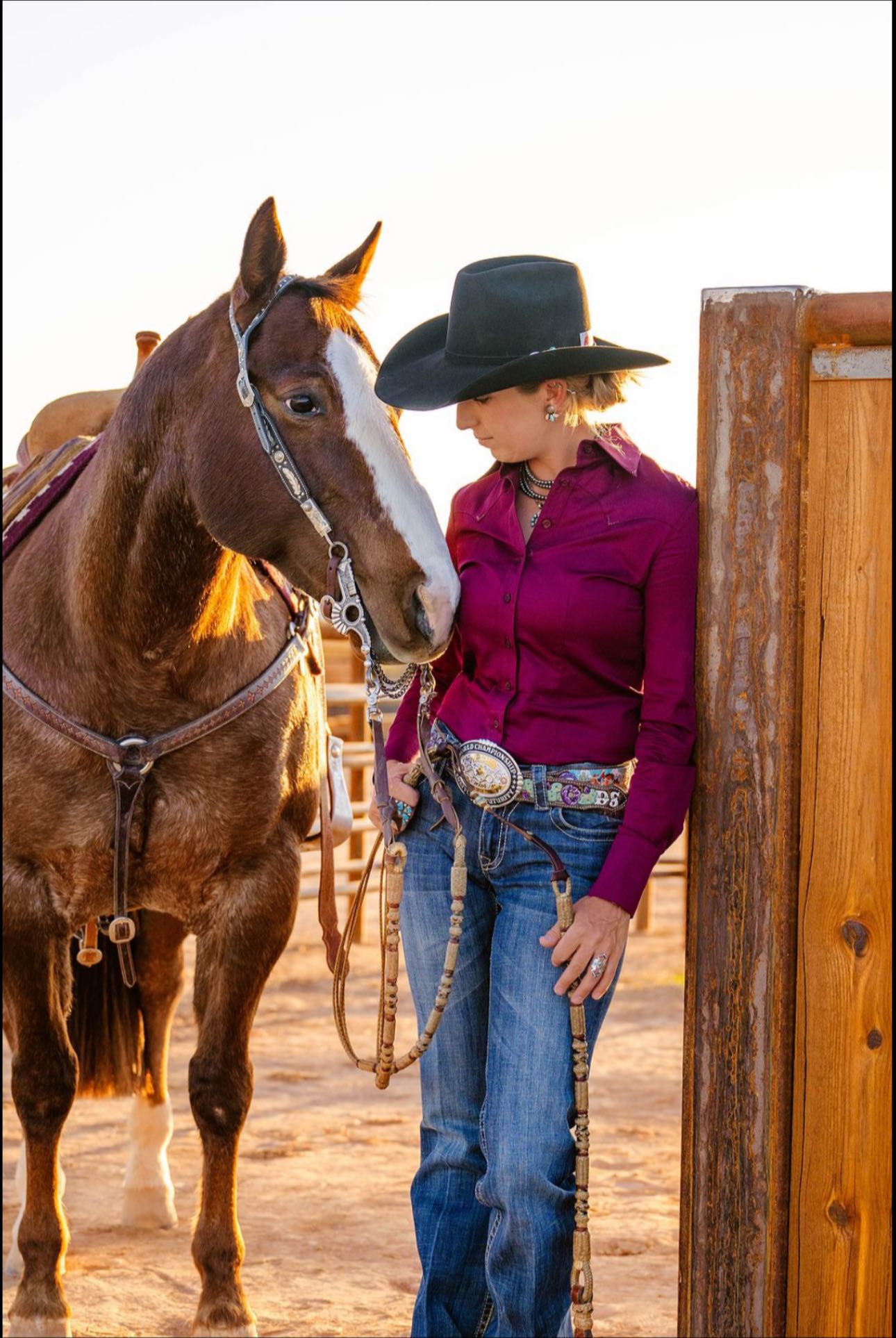 Dylan's Performance Horses LLC | Parma ID
