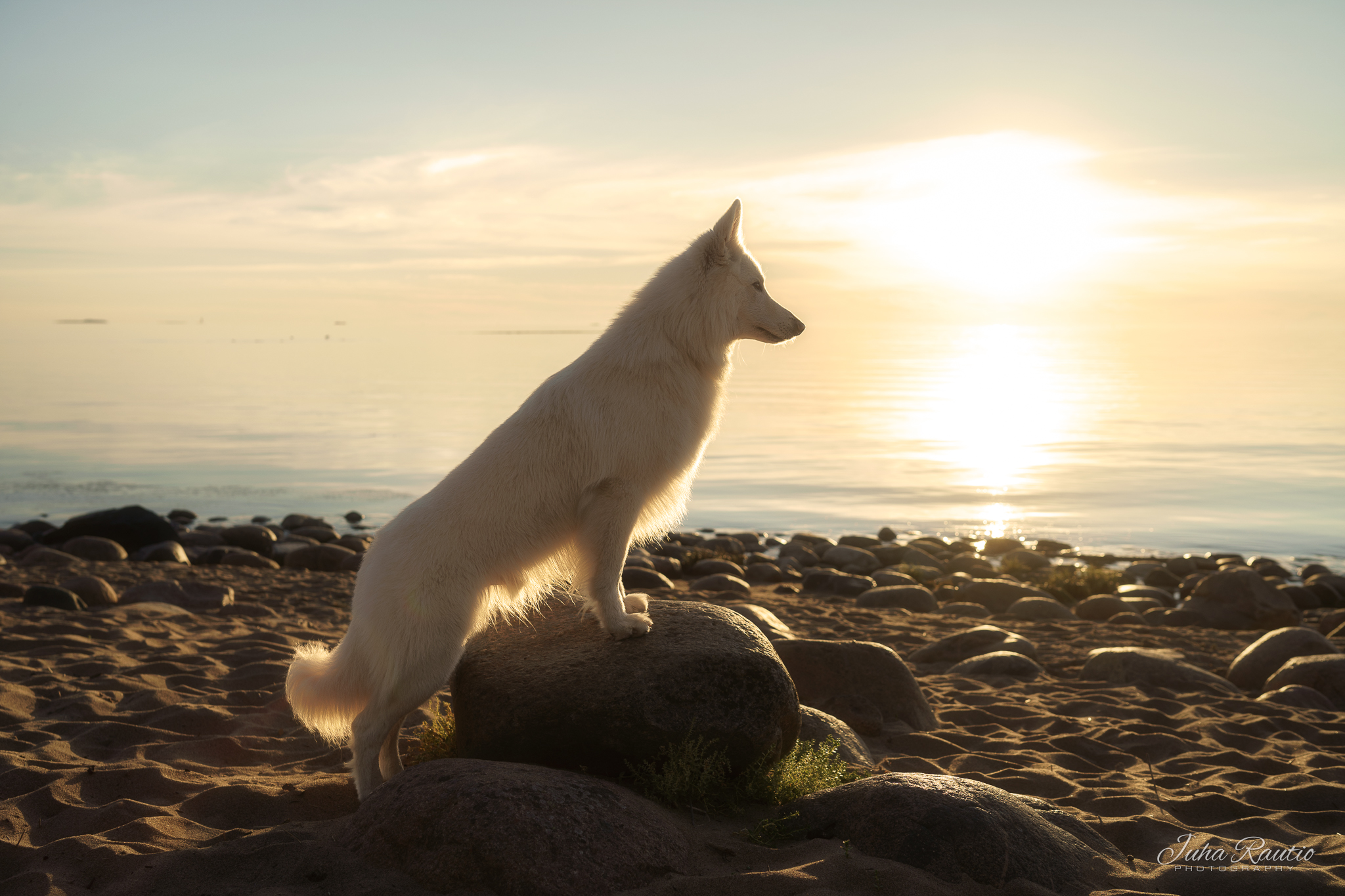Juha Rautio Photography