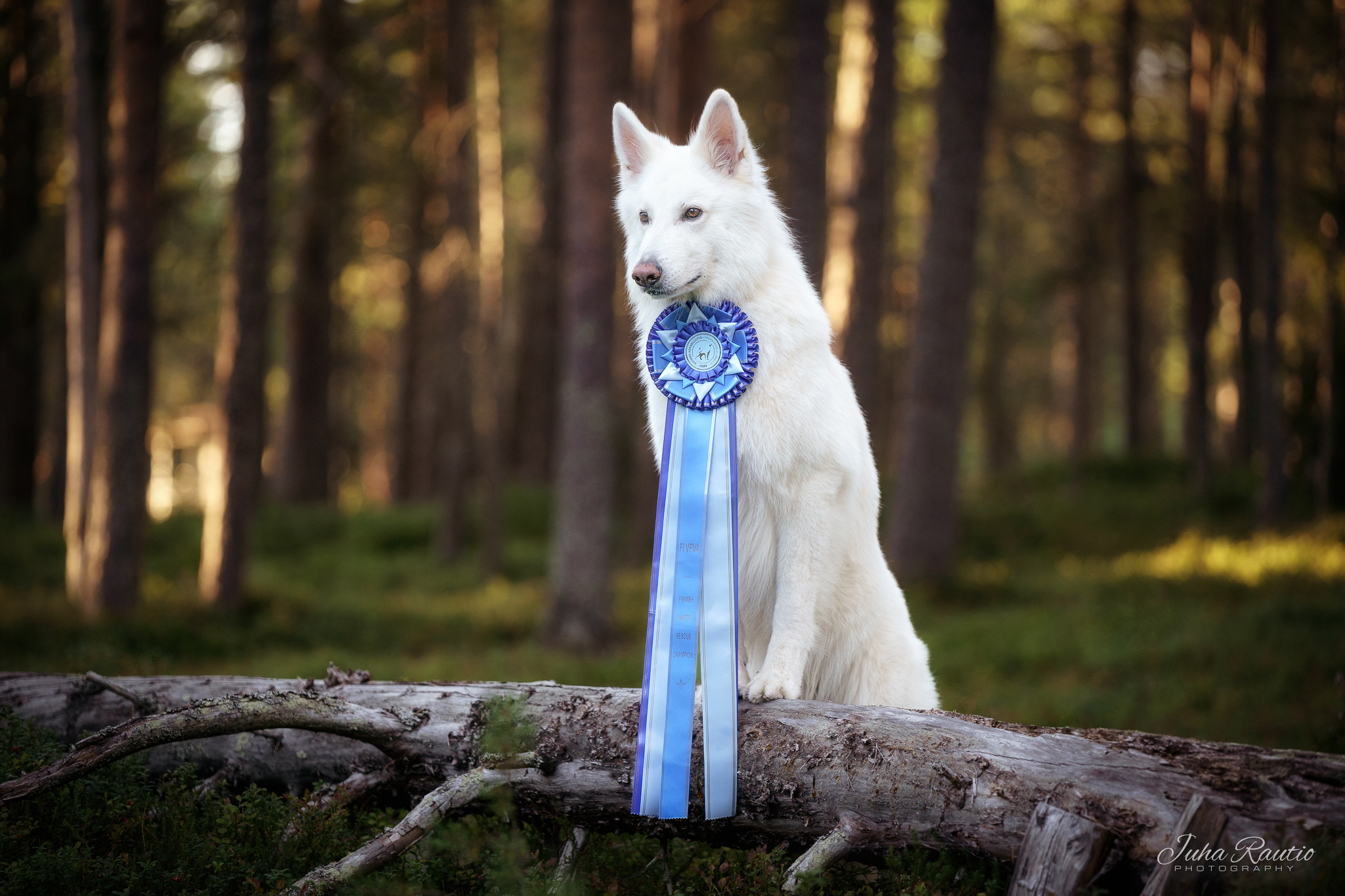 Juha Rautio Photography
