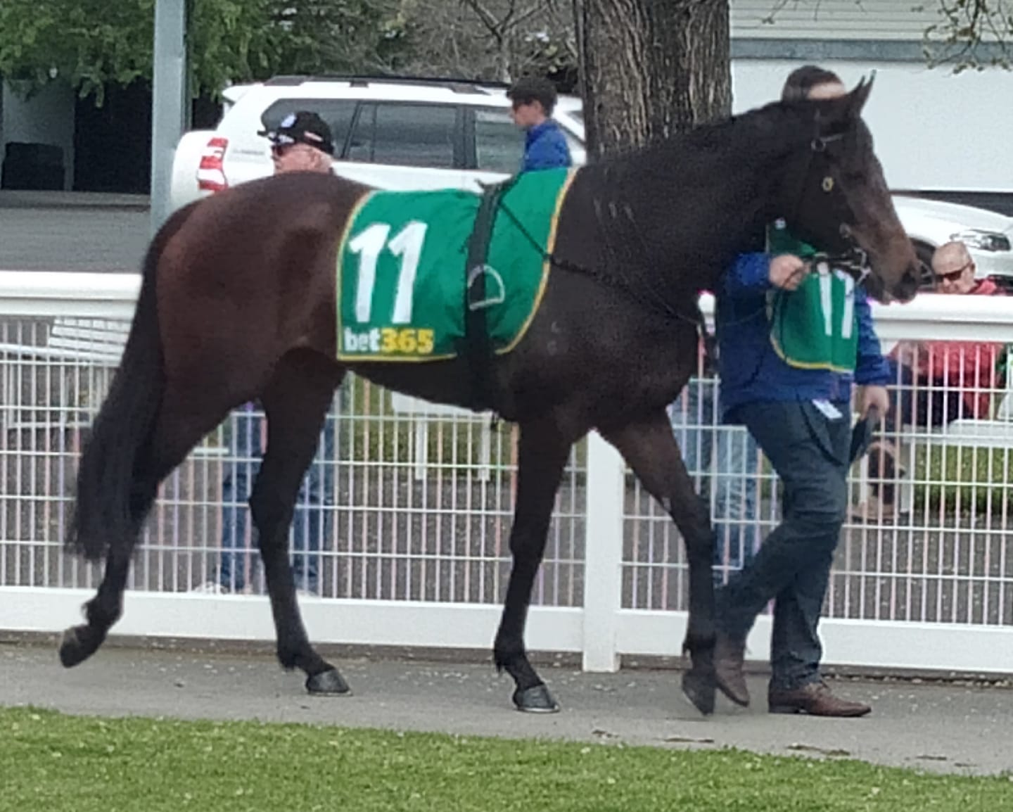 Bennett Racing - 🚨 RUNNER ALERT 🚨 Today Delegated trained... | Facebook