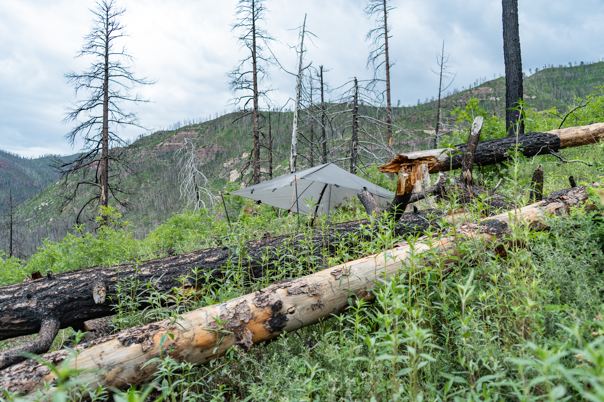 Ultralight emergency shelter options with Seek Outside DST tarp