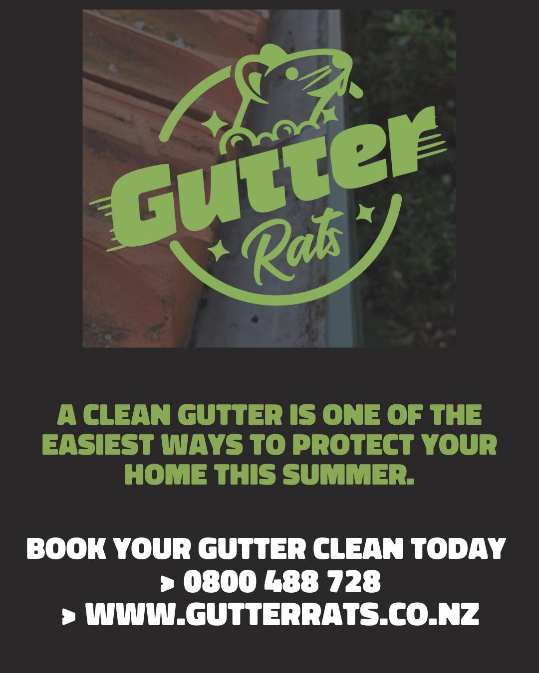 Gutter Rats | Taupo
