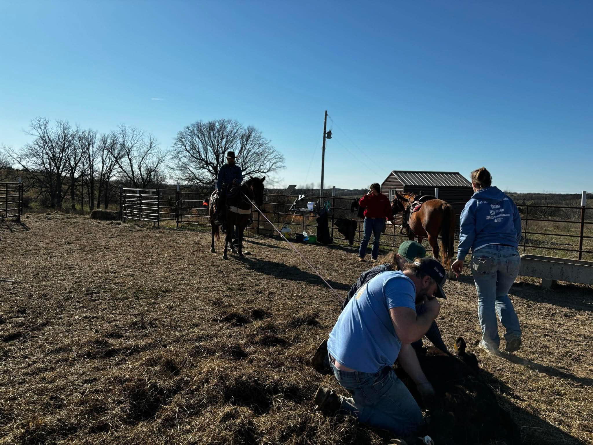 Smiling Bovine Ranch, llc