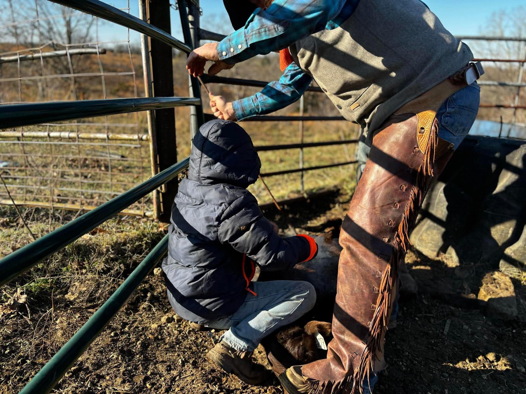 Smiling Bovine Ranch, llc