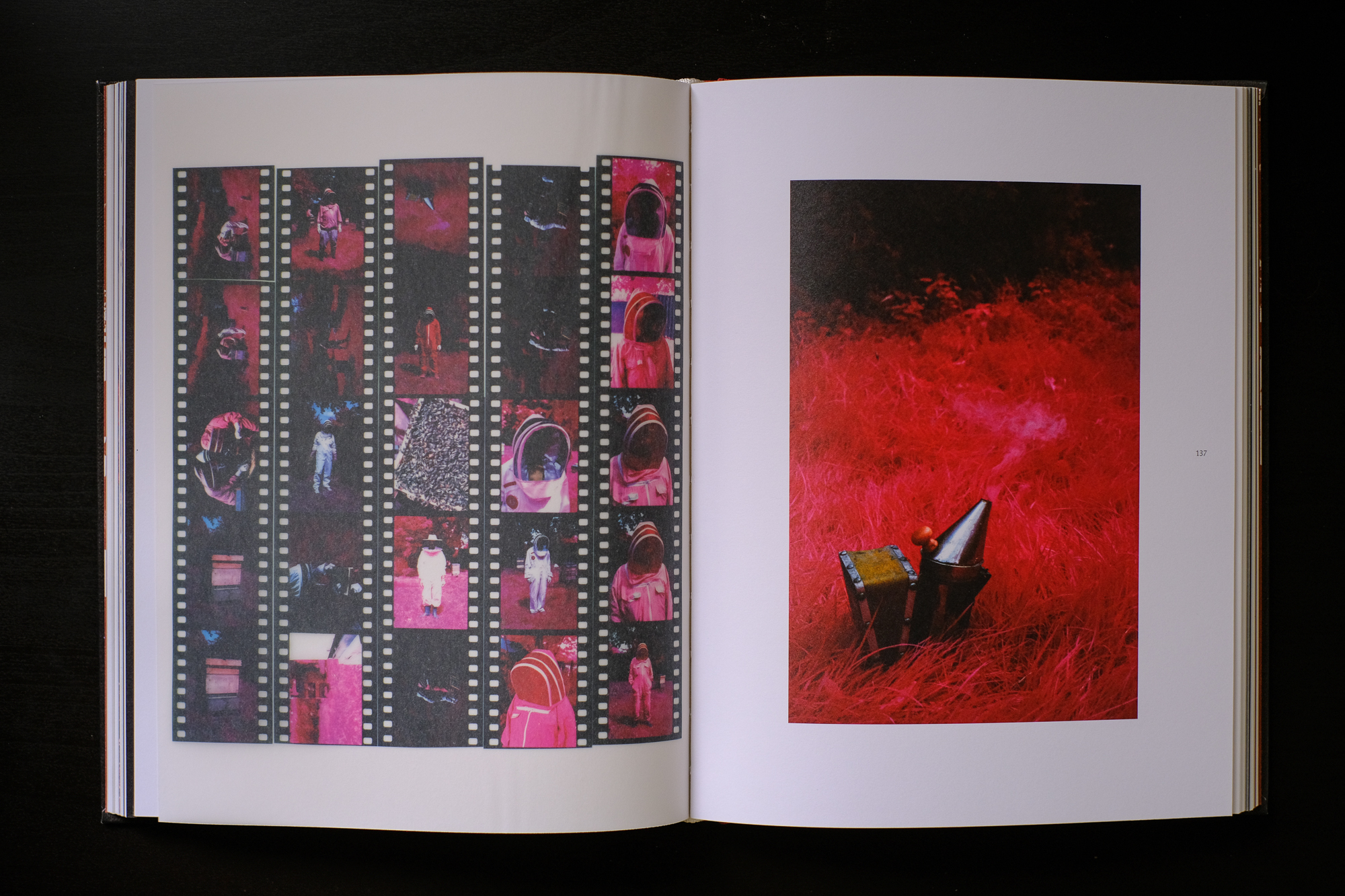 The Unseen: An Atlas of Infrared Plates by Edward Thompson 
