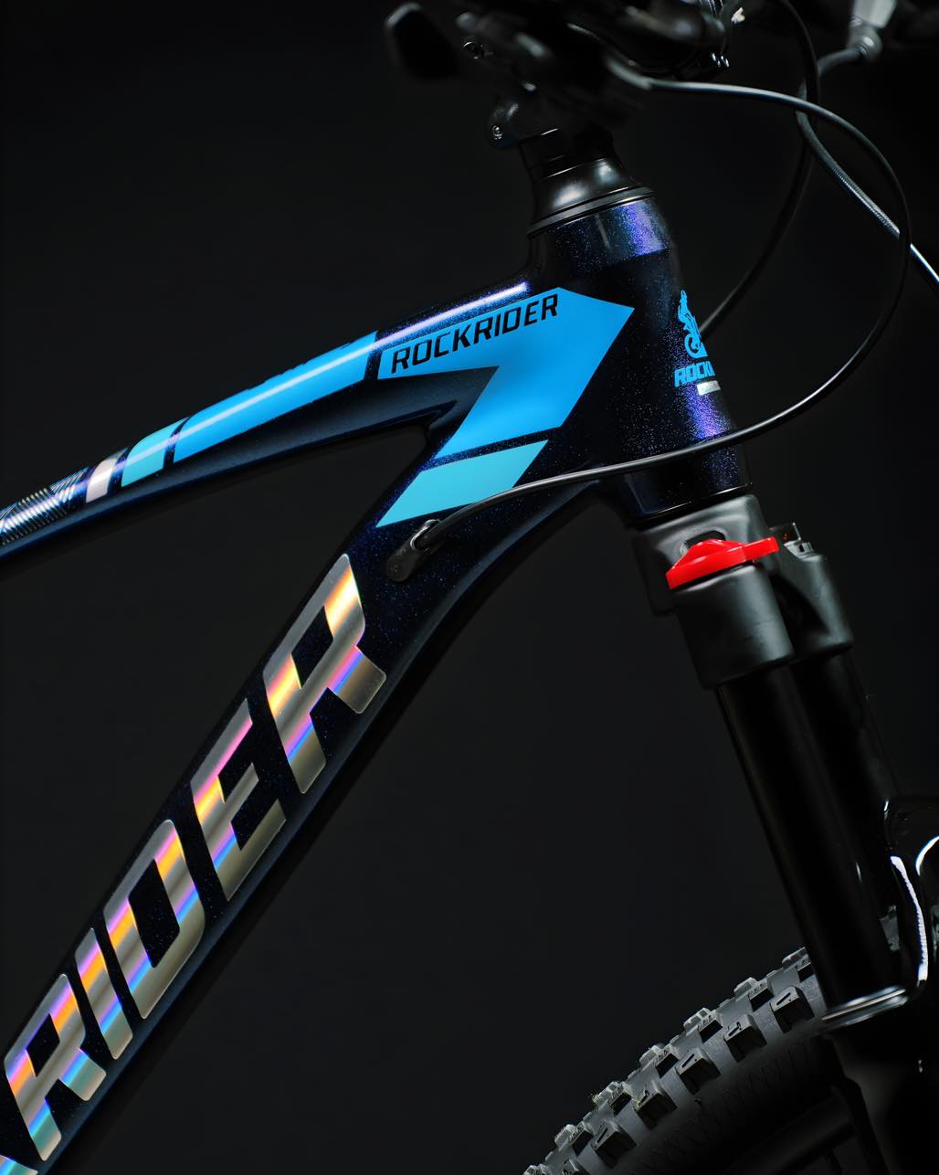 Our favourite ROCKRIDER DUKE 2024 is... - Master Cycle Store | Facebook