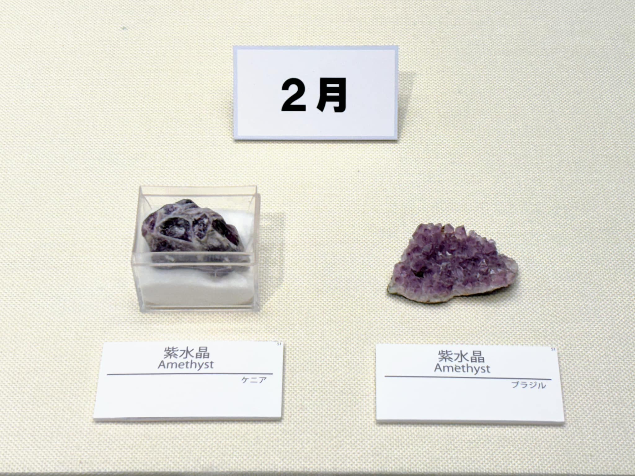 秋田県立博物館 - 2月の誕生石の一つ、アメシスト(紫水晶)の原石。日本 