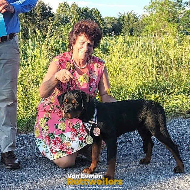 Von Evman Rottweilers | Groveland FL