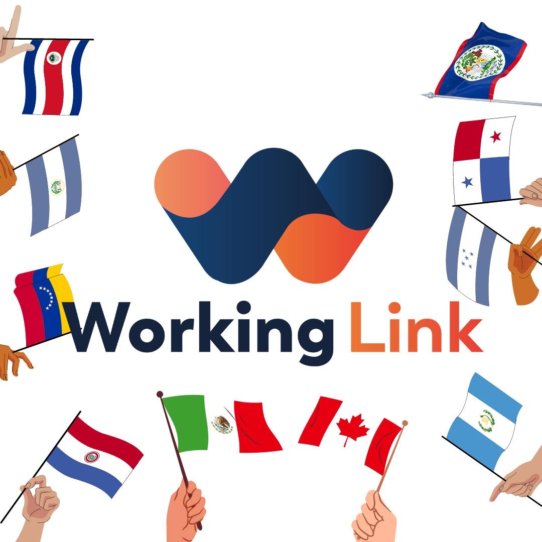 Working Link, S.A de C.V | Mexico City