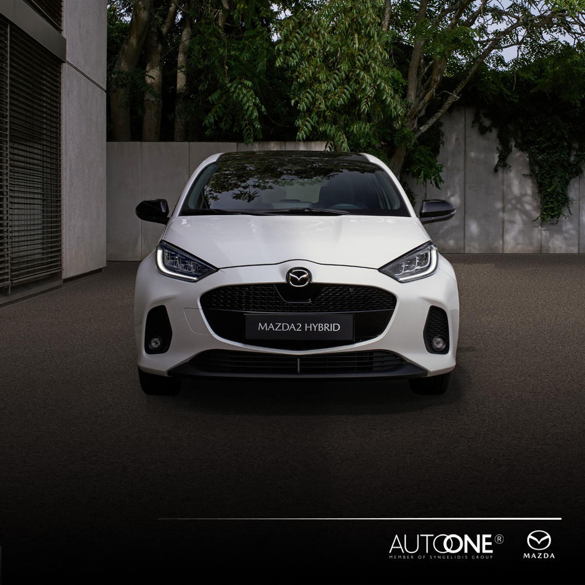 Autoone