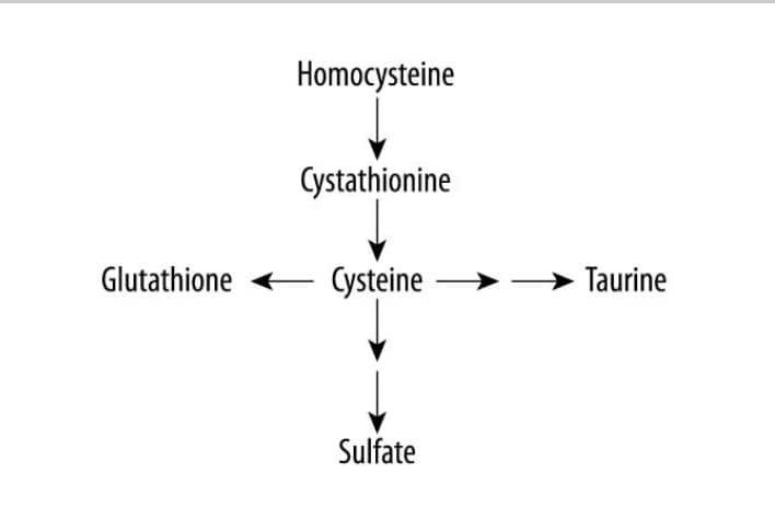 glutathione levels in children compared to adults I saw someone post something saying that are linked autism? This is the first I'm hearing this and just want to become more educated on this if anyone else (5 Pack) Bio Prost Vitamina D3 Coffee Type:Smooth Air Roast