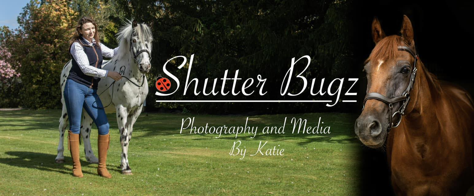 Shutter Bugz Photography and Media