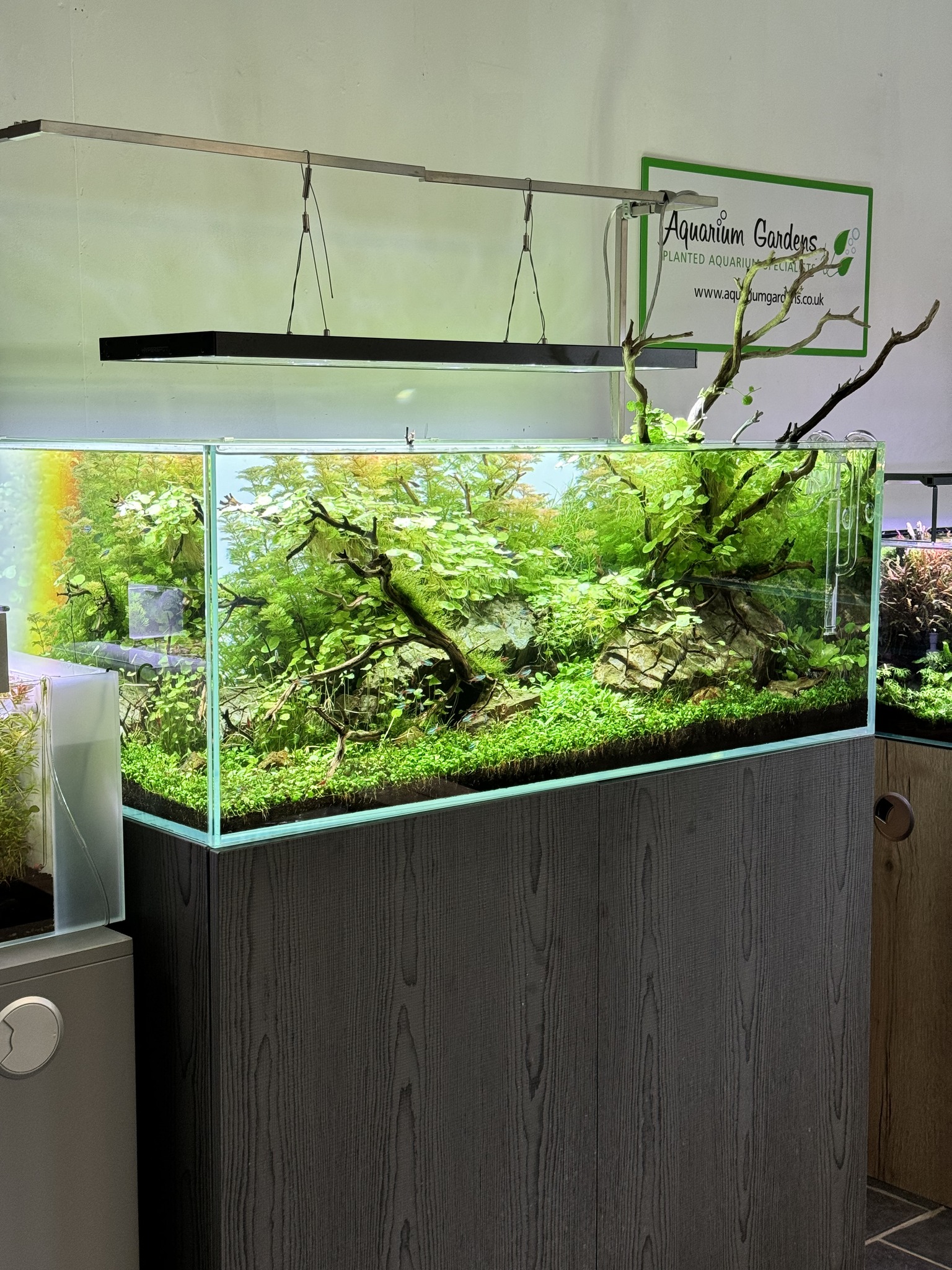 ADA Solar RGB illuminating our Aquascaper 900 😍 Transformation is