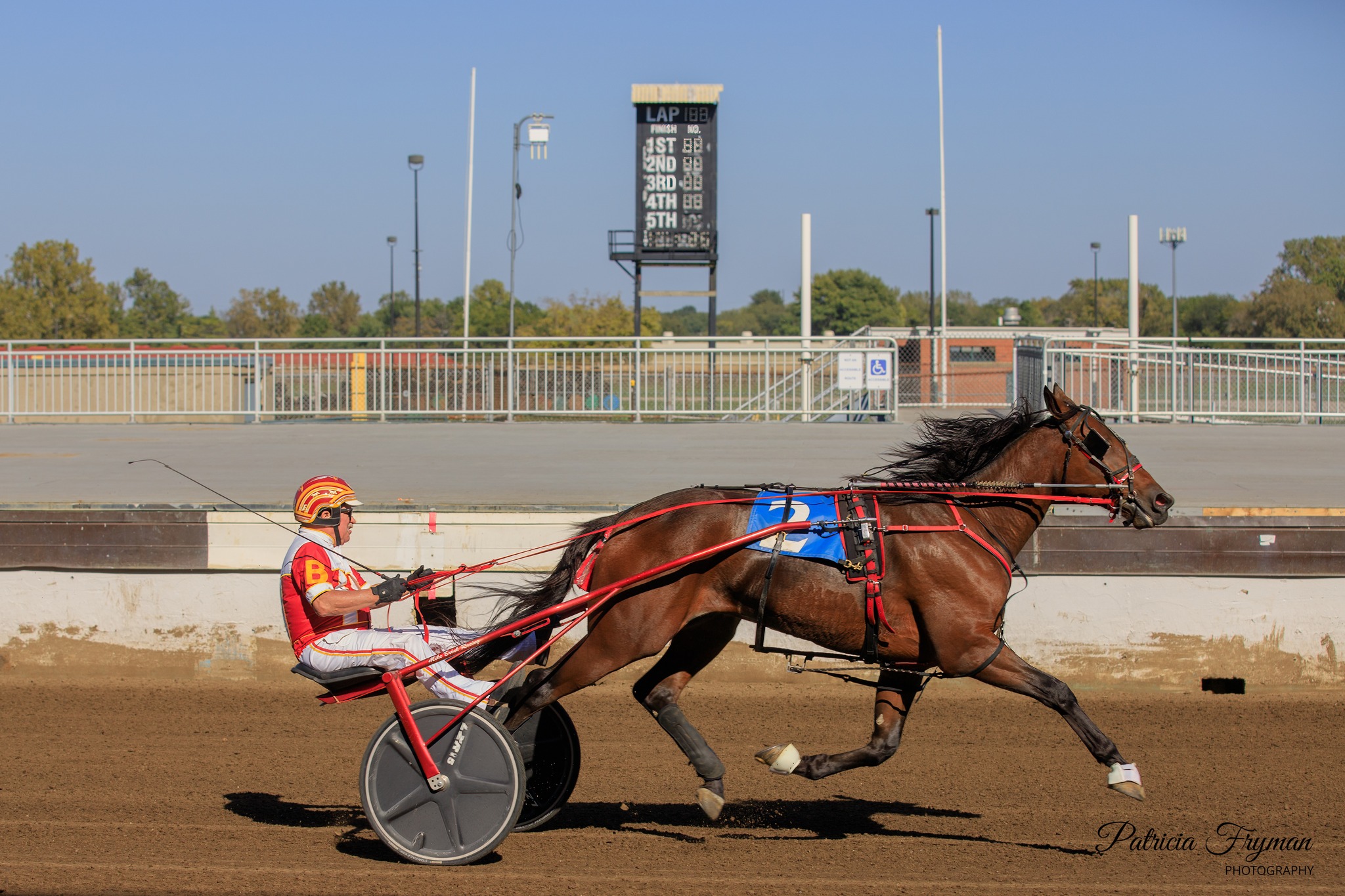 Illinois County Fair Harness Racing | Winner Circle Photos from ...