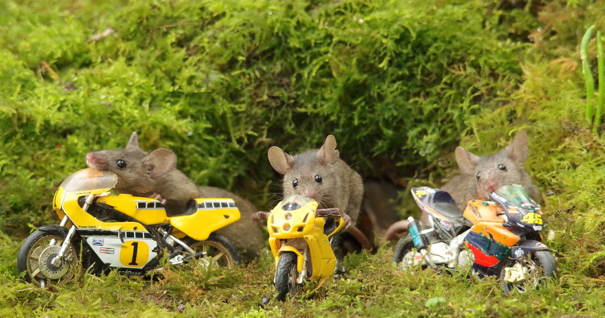 George - The mice wanted to share their very impressive Garage ...