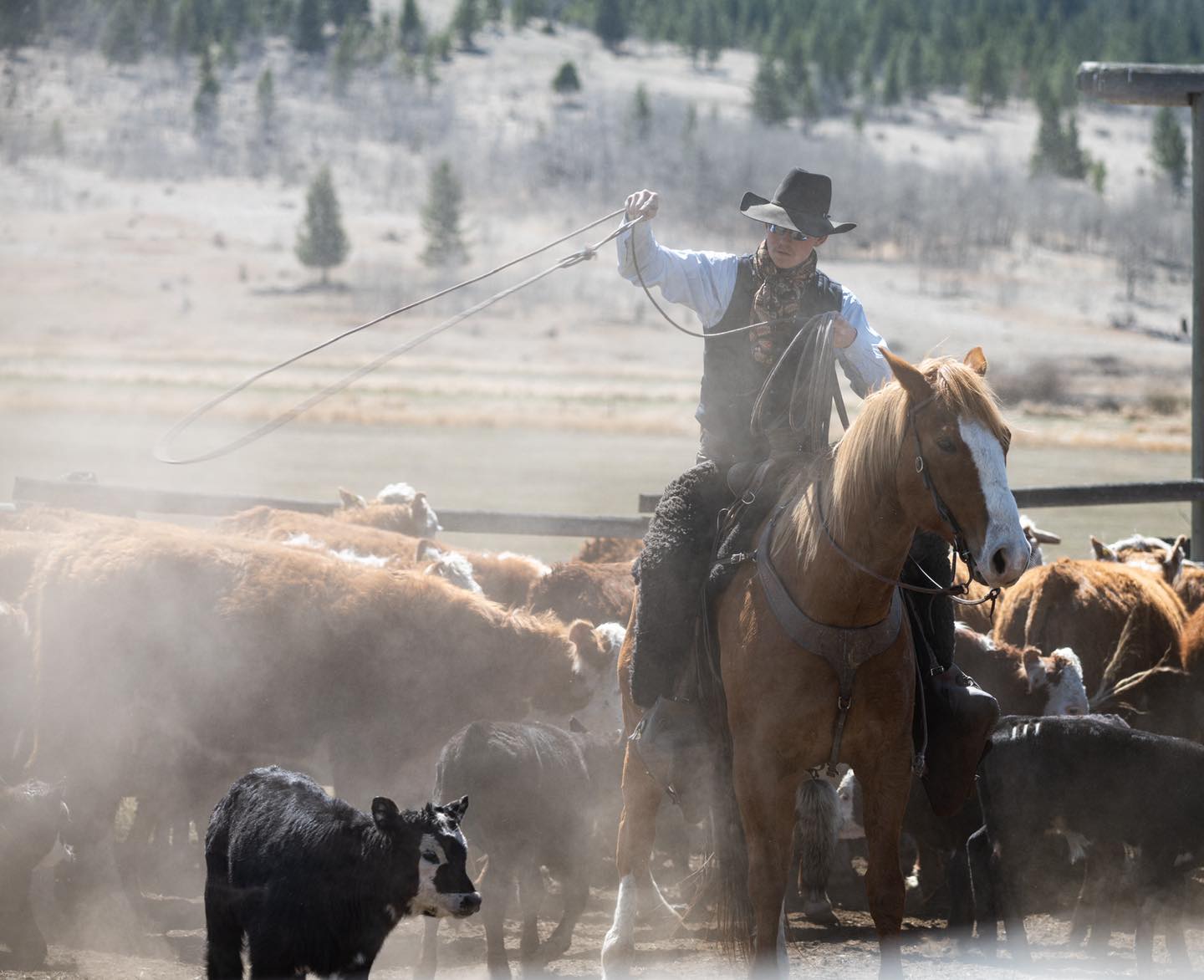 Douglas Lake Ranch | Douglas Lake BC