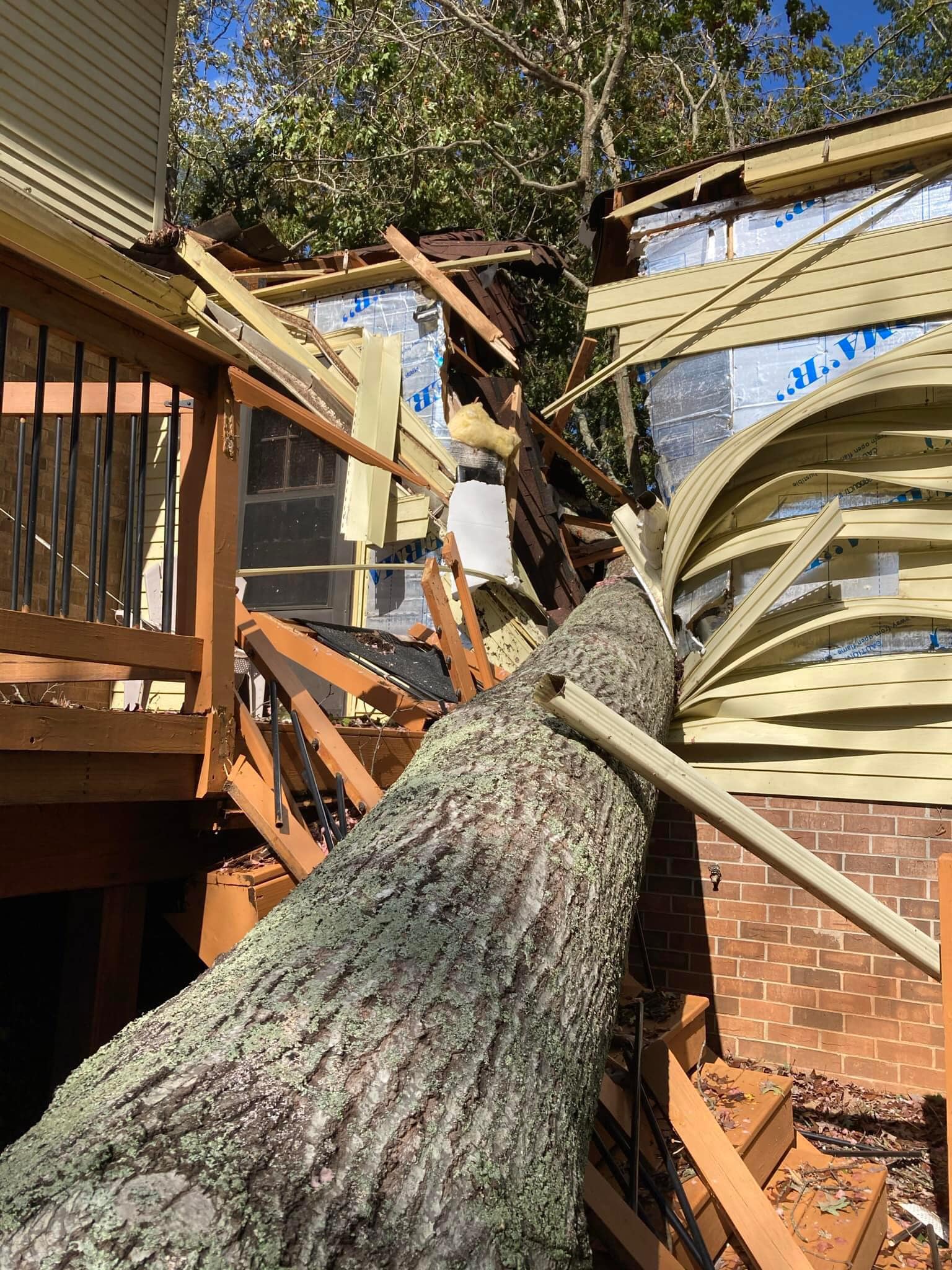 Renegade Stump Removal & Tree | Greer SC