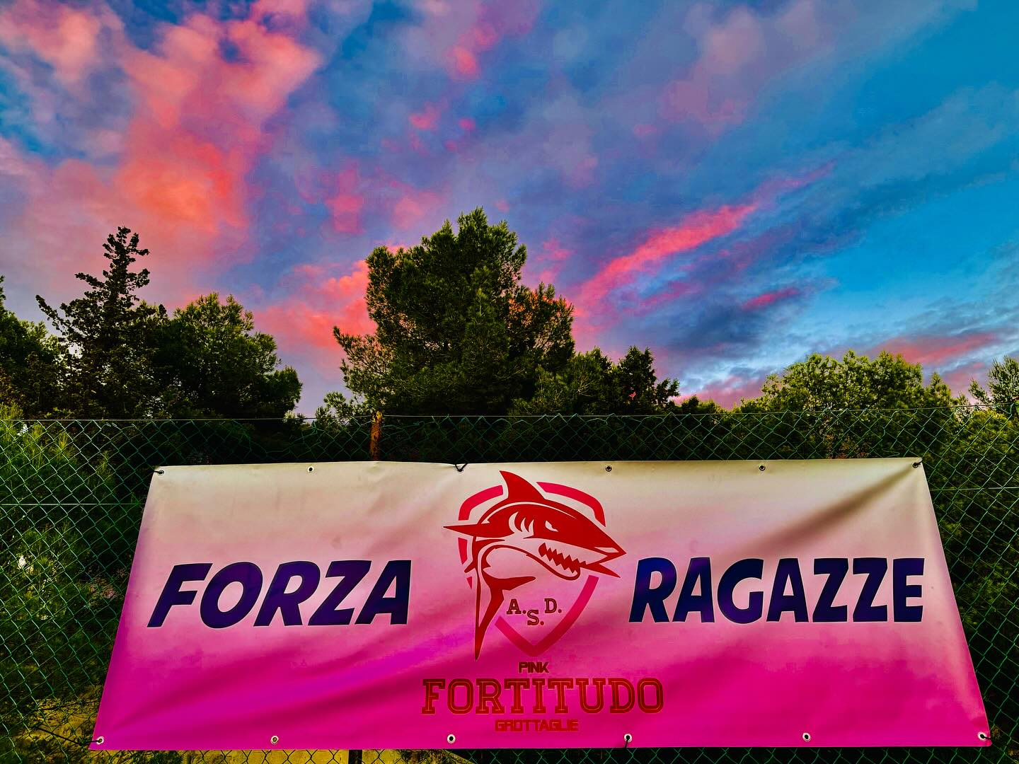 Fortitudo - #football #soccer #calcio #italy #seriea #juventus #sport # ...