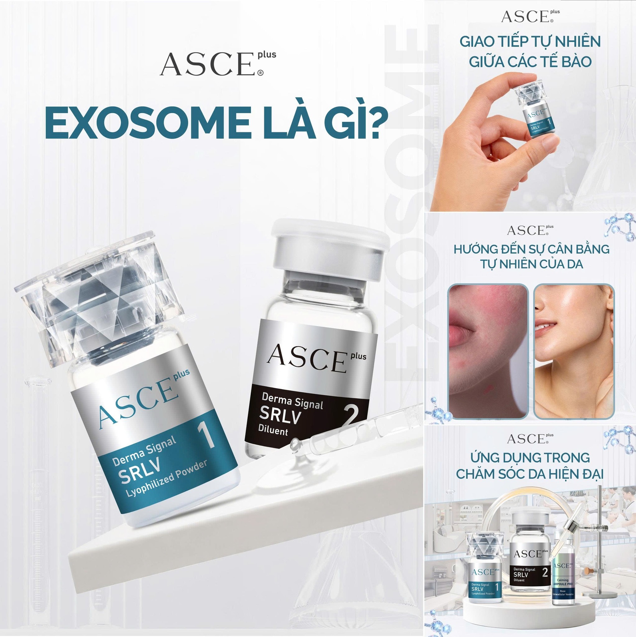 ASCE - EXOSOME - ĐỊNH NGHĨA CHUẨN XÁC TỪ GÓC NHÌN CHUYÊN GIA DA LIỄU ...