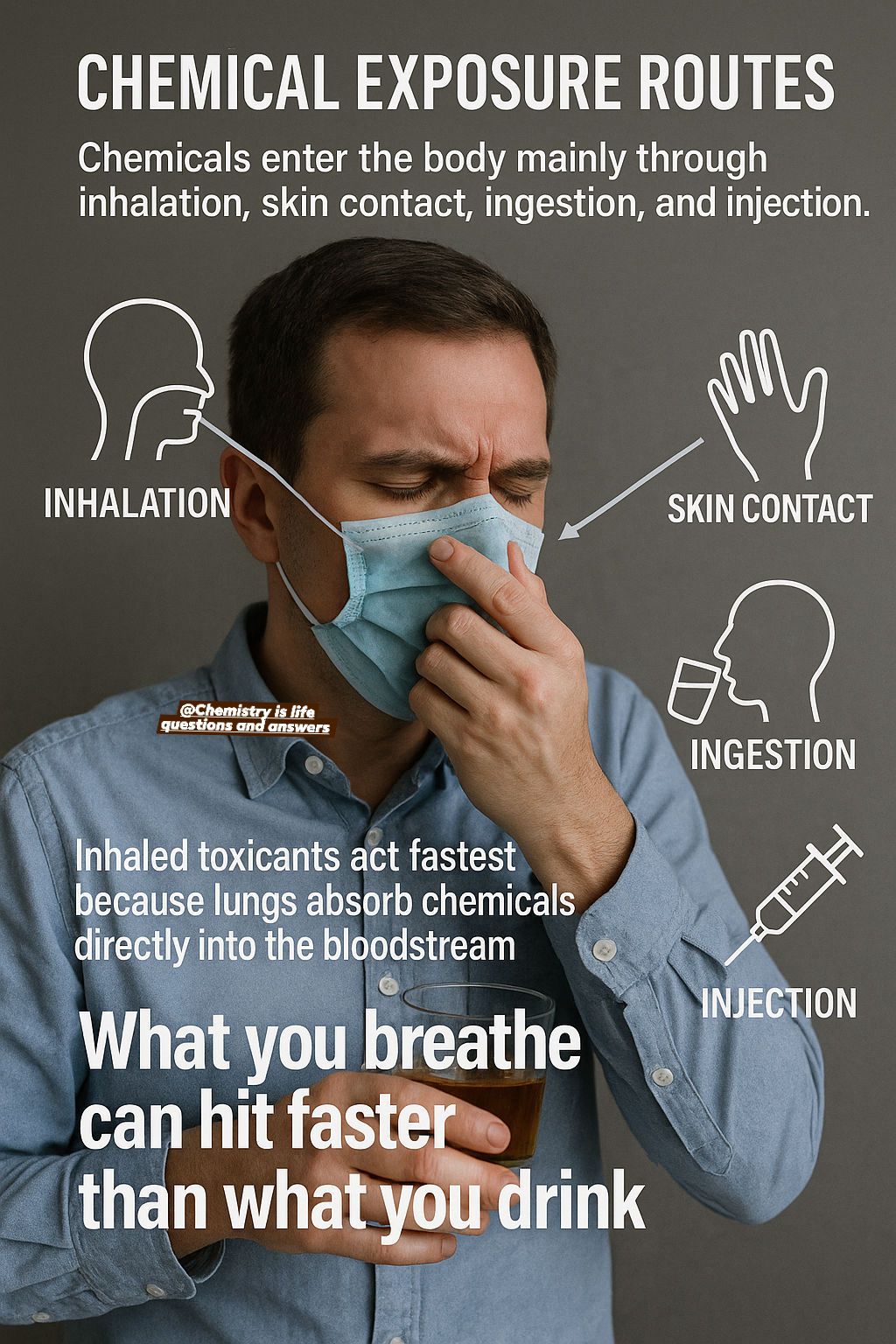Chemistry - Chemical Exposure Routes Chemicals enter the body mainly ...