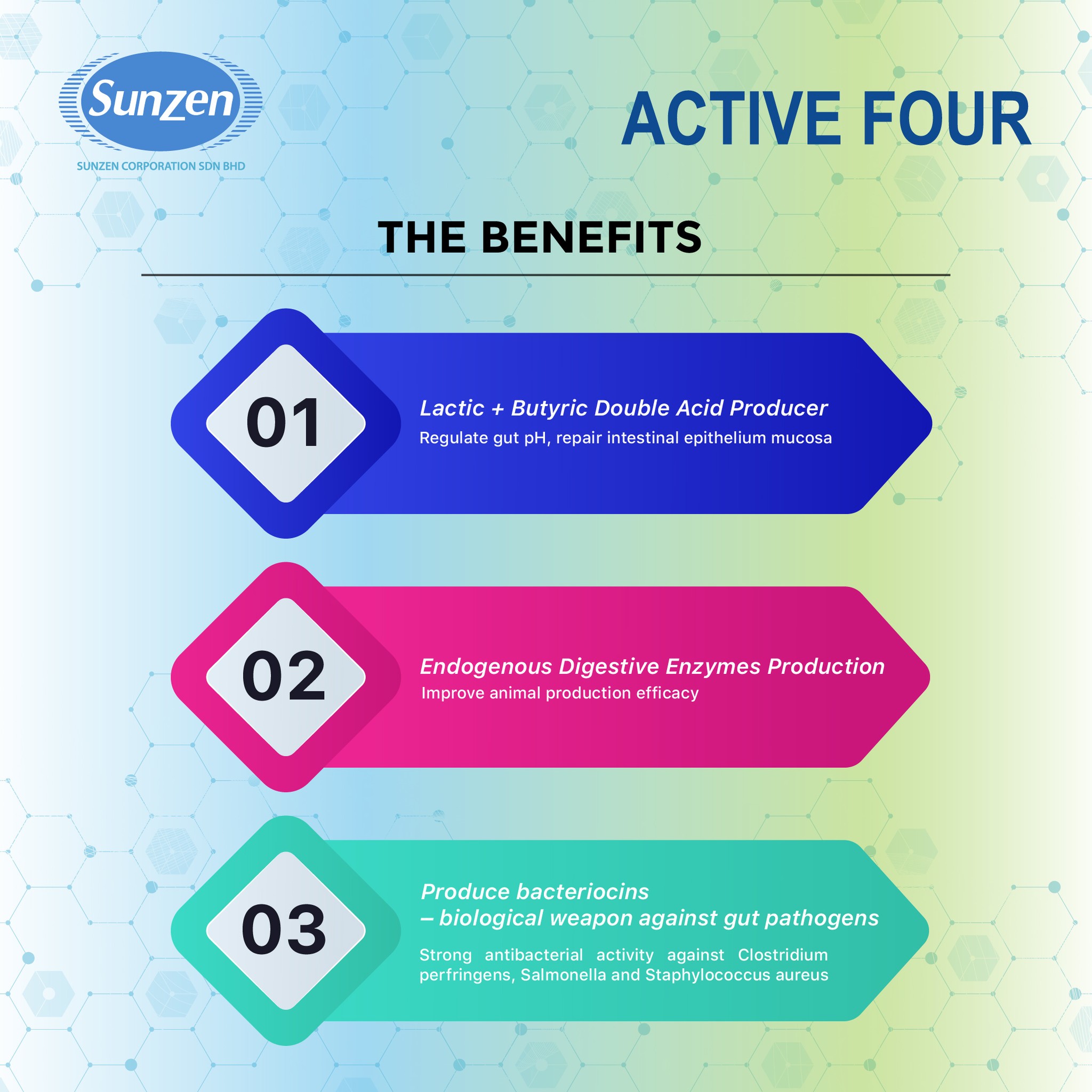 Sunzen Corporation Sdn Bhd | Shah Alam