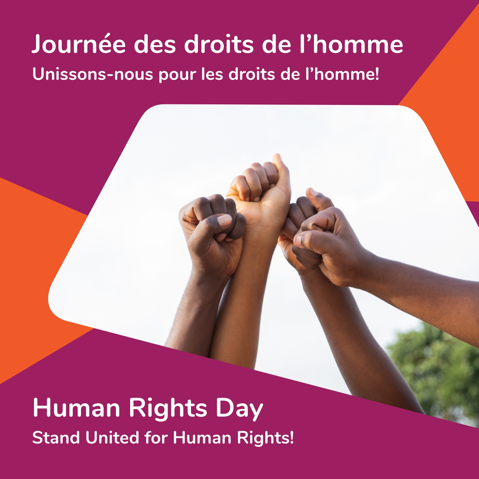 maison-la-dignit-le-respect-et-les-besoins-fondamentaux-sont-des