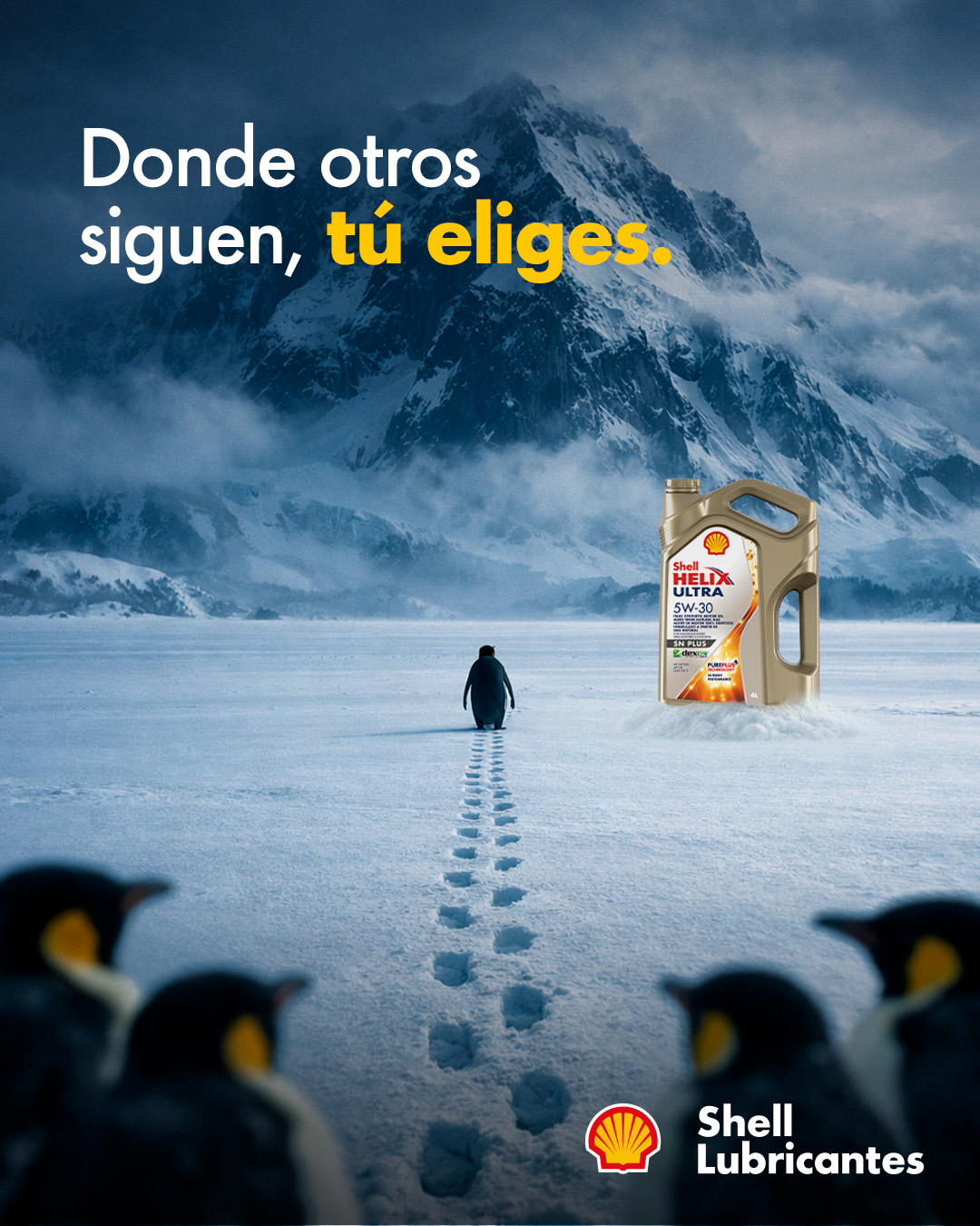 Lubricantes - Mientras otros siguen la corriente, tú decides ir más ...