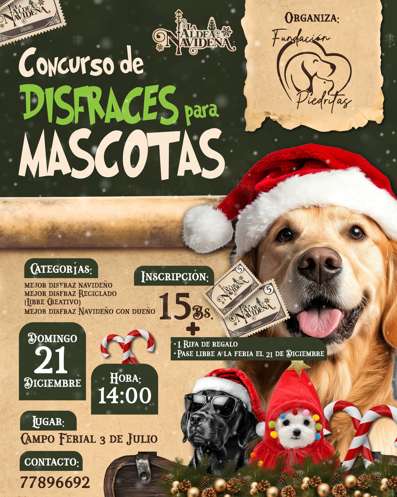 Campo - #AldeaNavideña 🎄🐾 | ¡Llegó el concurso más tierno de toda la ...