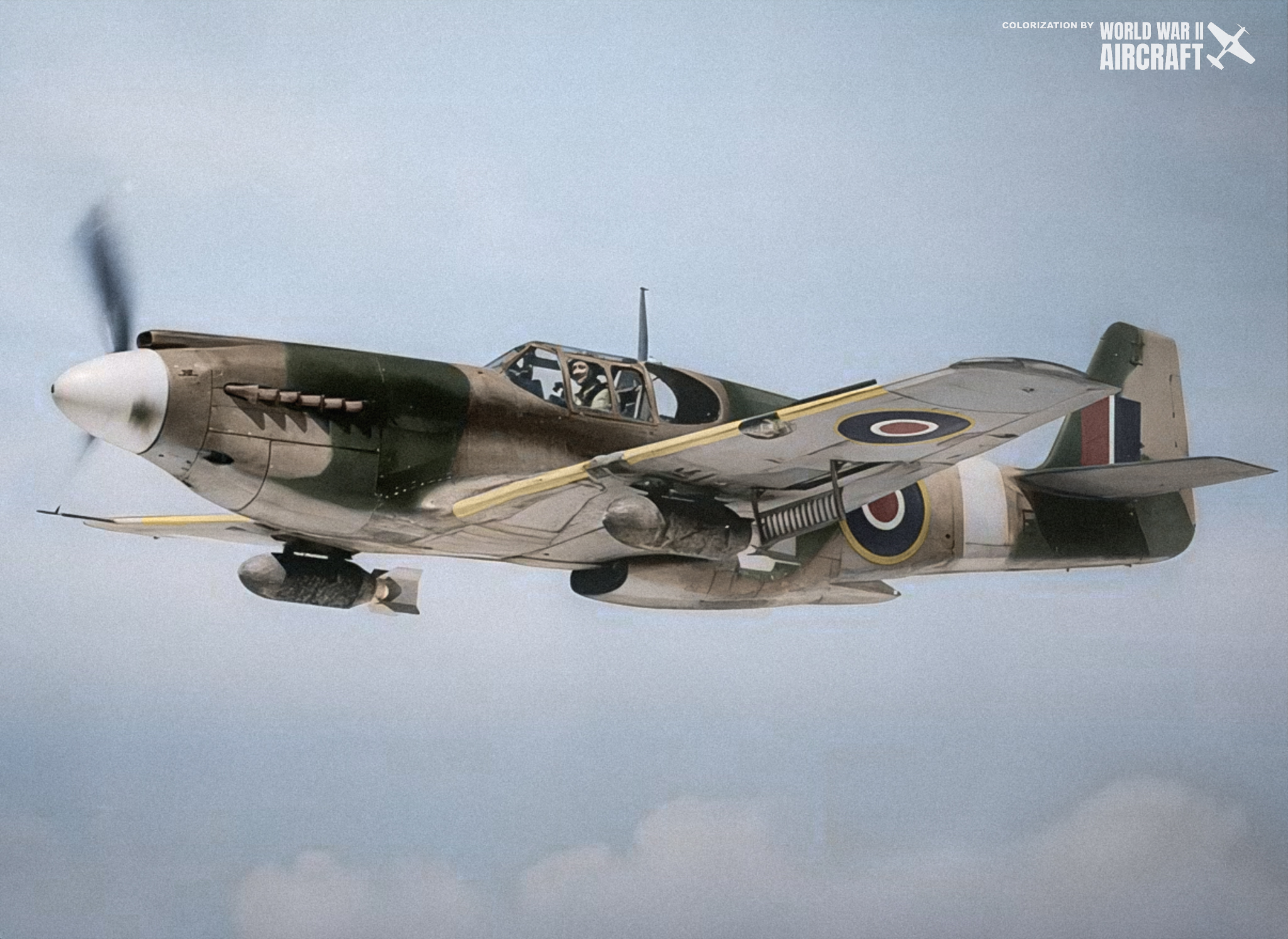 The only A-36A Apache aircraft in... - World War II Aircraft | Facebook