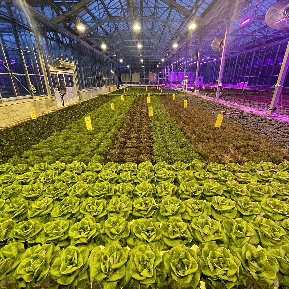 Greener Roots Farm | Nashville TN